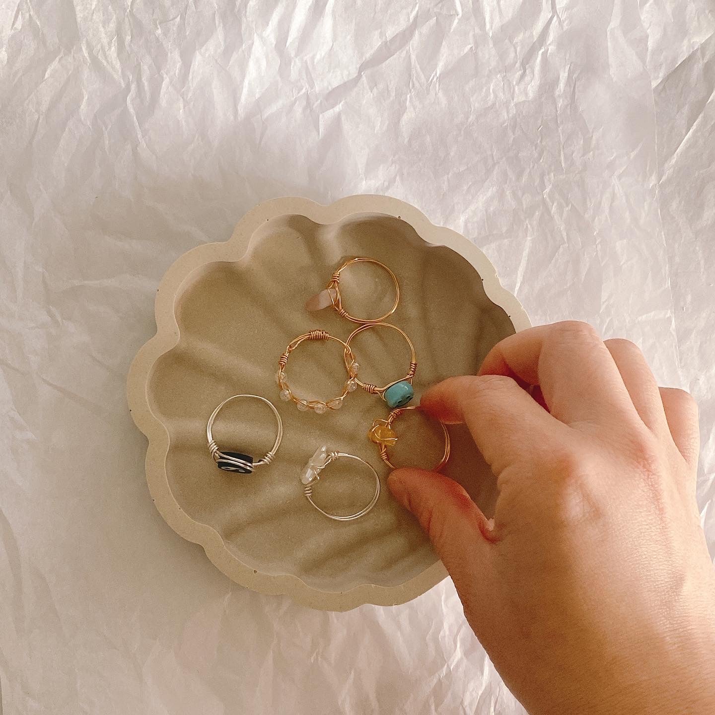 Sea Shell Jewellery Trinklet