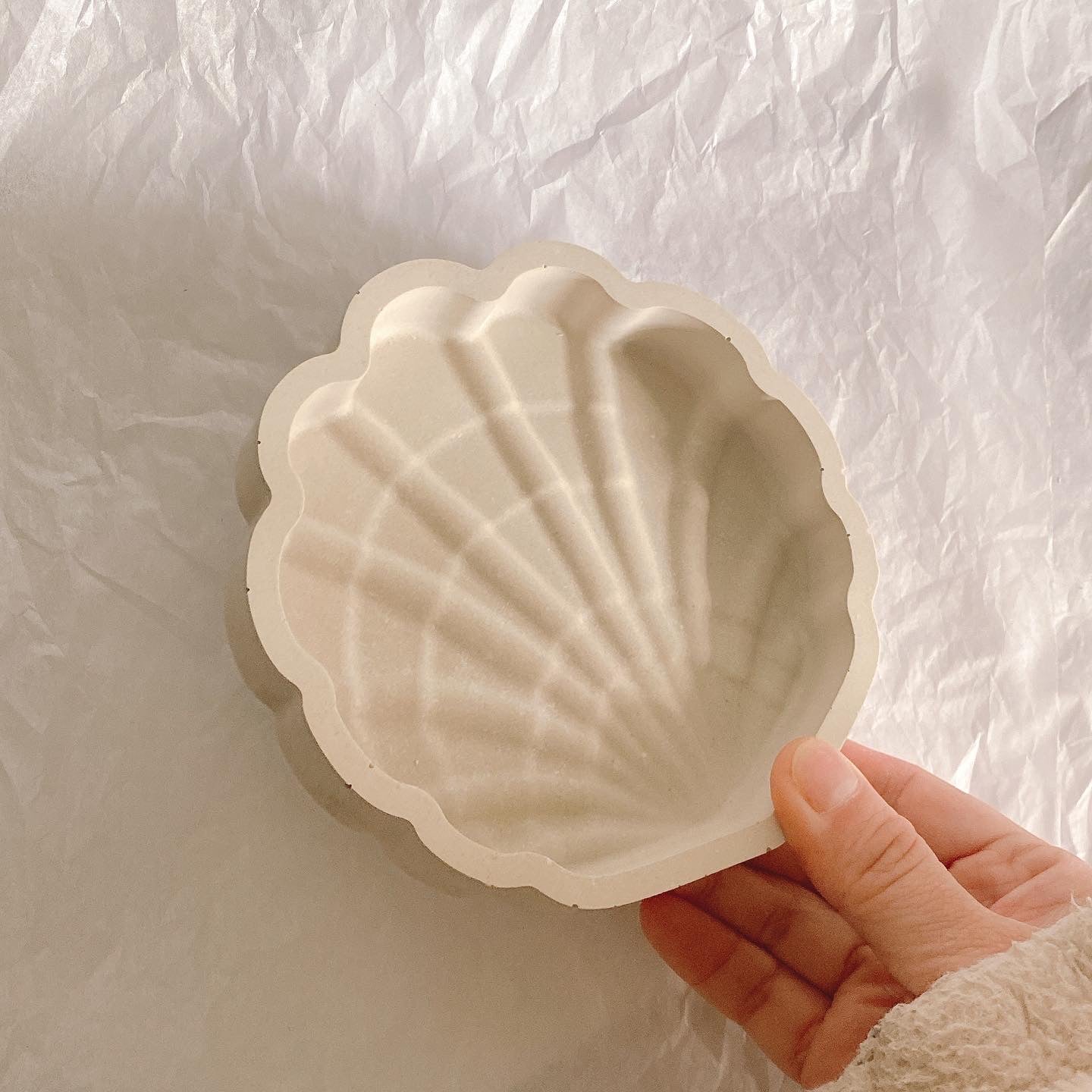 Sea Shell Jewellery Trinklet