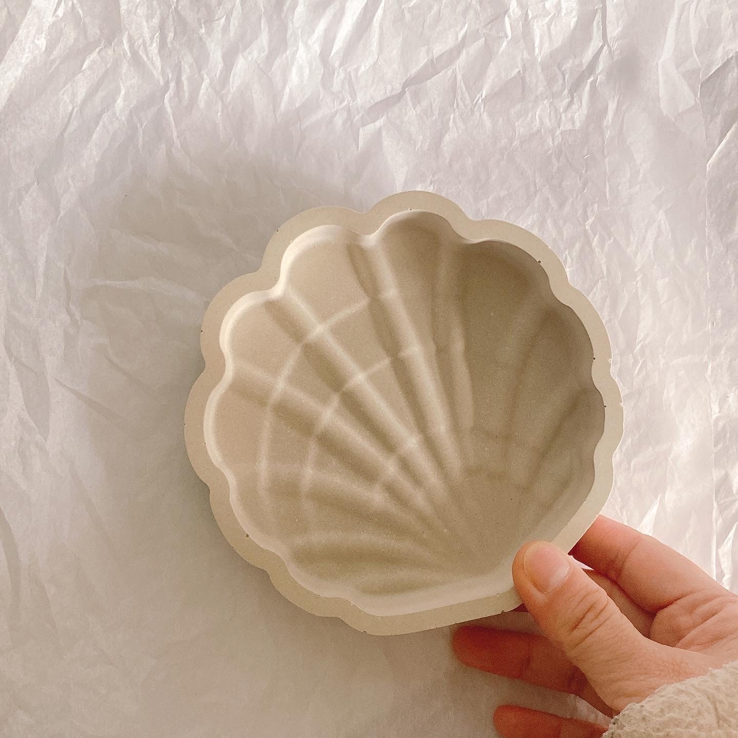 Sea Shell Jewellery Trinklet