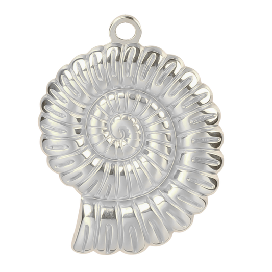 Large Seashell