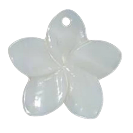 Frangipani