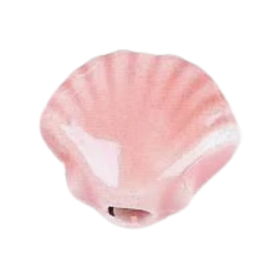 Shell Ceramic