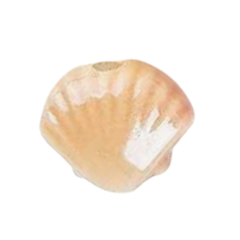 Shell Ceramic Silver