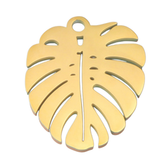 Monstera Gold