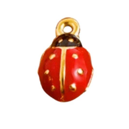 Beetle Bug