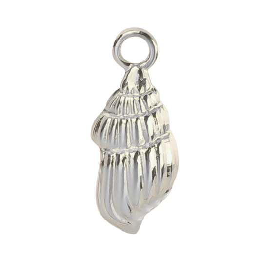 S Seashell