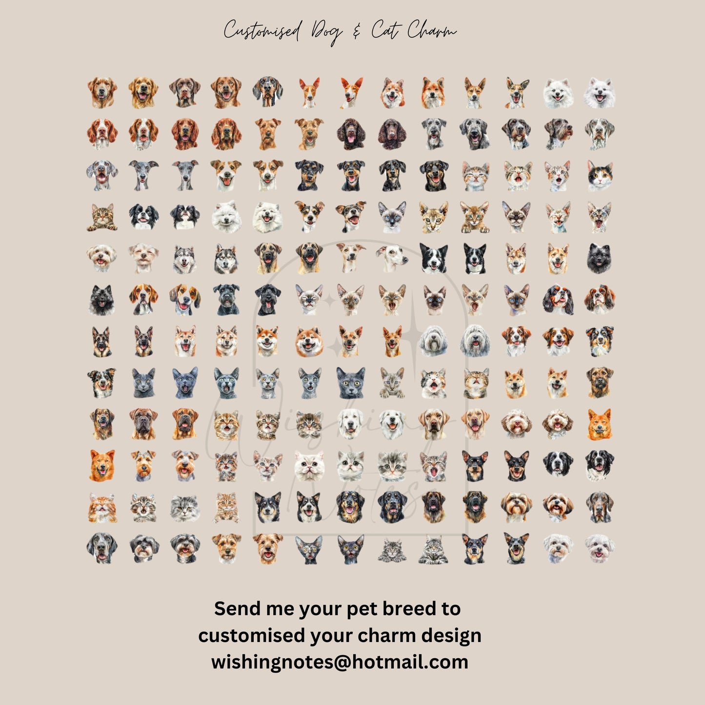 Shells Design your own Charms Necklaces