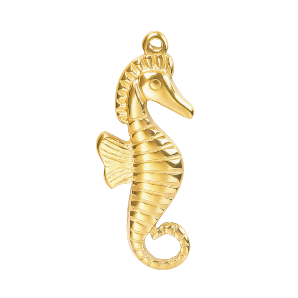 Seahorse