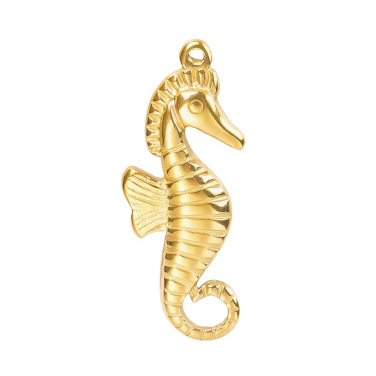Seahorse