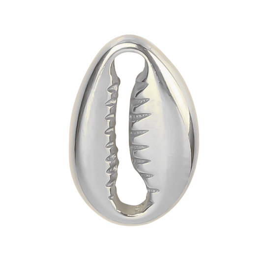S Seashell