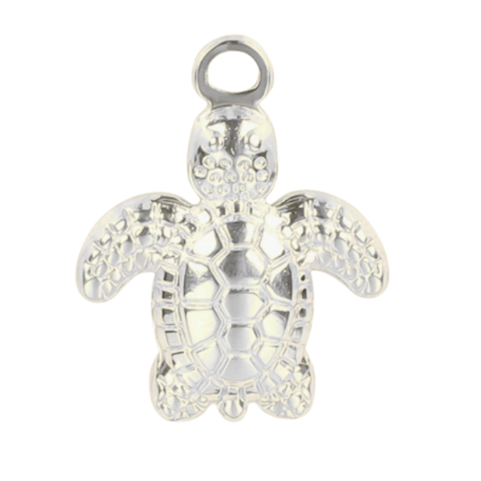 Sea Turtle